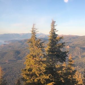 Meet your Posher, Dana